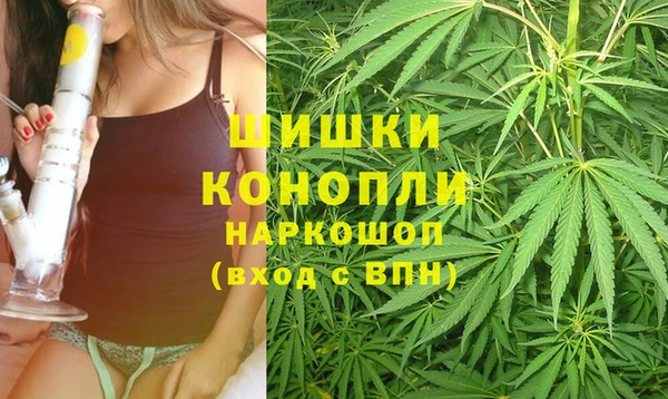 spice Заводоуковск