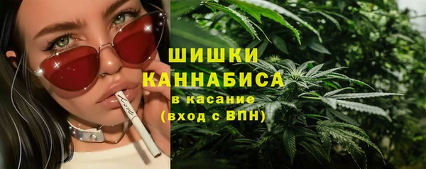 дмт Елабуга